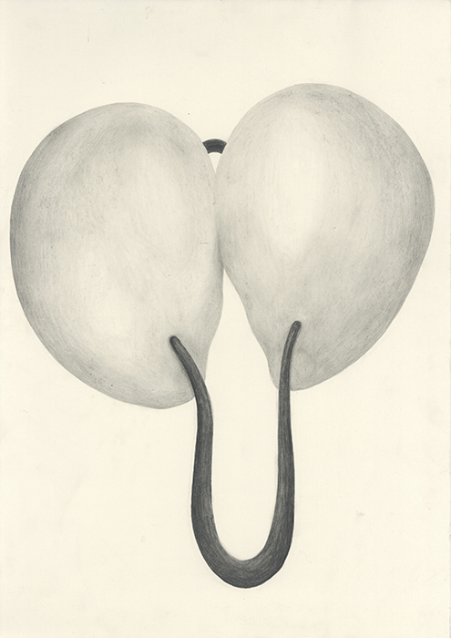 ENTITY, 2017, 42 x 29.1 cm, pencil on paper