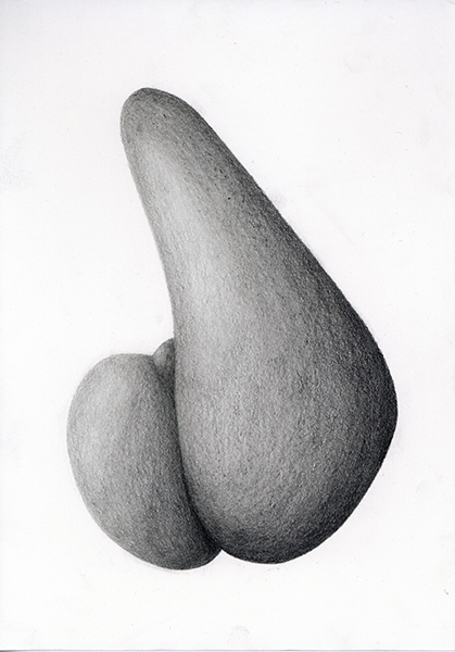 FIBULA, 2018, 21 x 14.8 cm, pencil on paper
