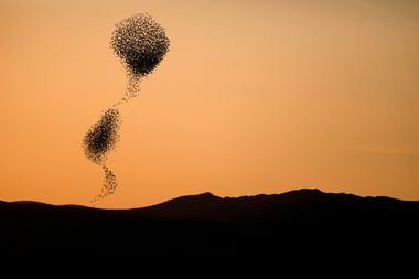 shutterstock_1910864686