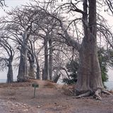 Slave Yard