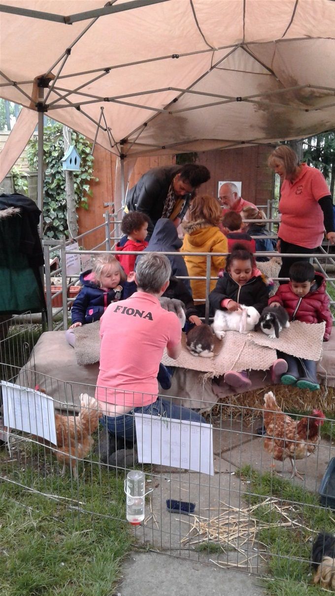 9th May 2019 - Fiona 's Therapy farm brought her farm animals to our back garden. There were goats, lambs, chickens, rabbits and guinea pigs. We stroked them and brushed their fur. We asked lots of questions and found out what they eat and where they live. It was great fun!