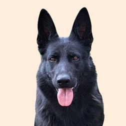 Kela