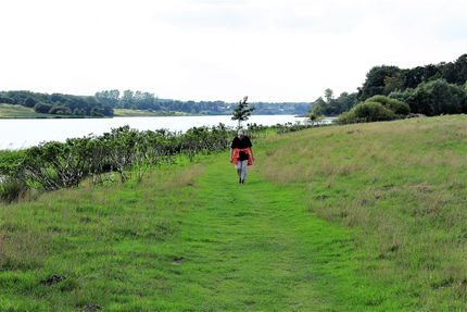 Naturområde ved Tvis Mølle