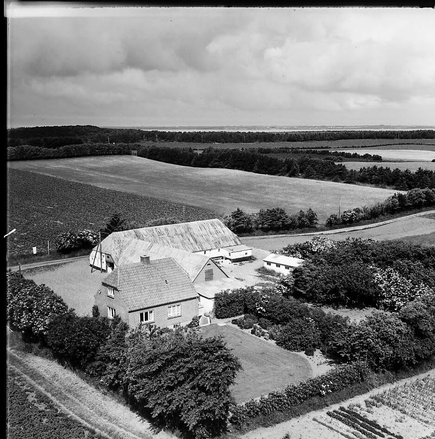 Borbjerggaard 1962