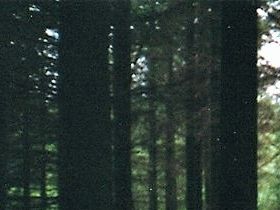 Besøger Bornholm 1996