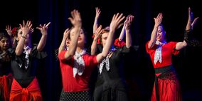 Liz Dans Flamenco