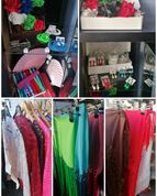 shop Liz Dans