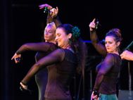 Liz Dans Flamenco - Vamos a La Haya