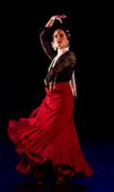 Global Dance Festival 2-11-2019 © De Schaapjesfabriek HR (13)