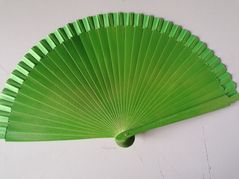 Abanico (waaier) 23 cm 7,50