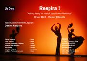 Respira-lizdansflamenco