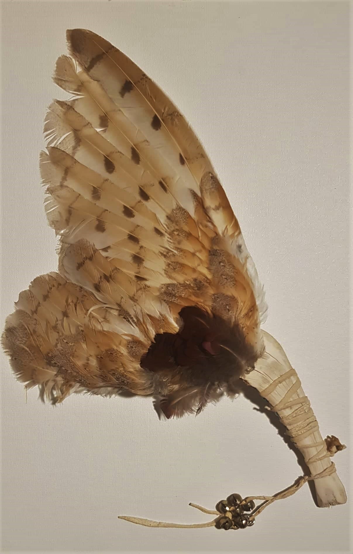 feather fan