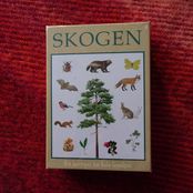 Spel - Skogen