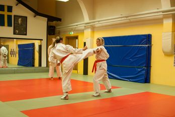 Gradering till 7 kyu - 2023-12-15