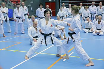 Sensei Shiina May 4 dan - Halmstad 7-8 sept 2019