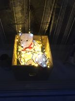 To those who died of Corona 2