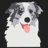 Molly - Design