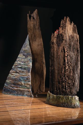 46 & 47 Trudie Klein, Waterberg en Rots
