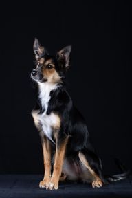 Lizta, bild av © Anders Lockerud