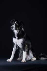 Ziri, bild av © Anders Lockerud