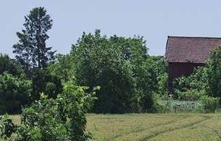 Mopedträff/rally 2019 06 30 Foto: Bogart