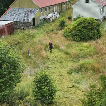Første stien ble laget gjennom meterhøyt gras