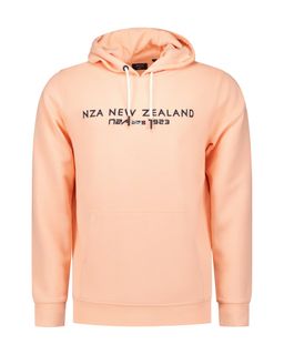 NZA-New-Zeal_NZA251_1316_25AN316