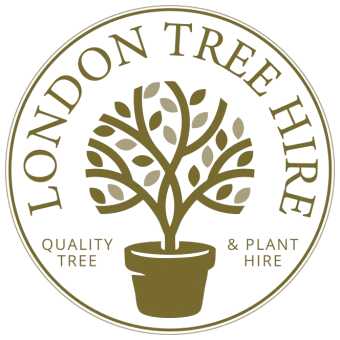 London Tree Hire 