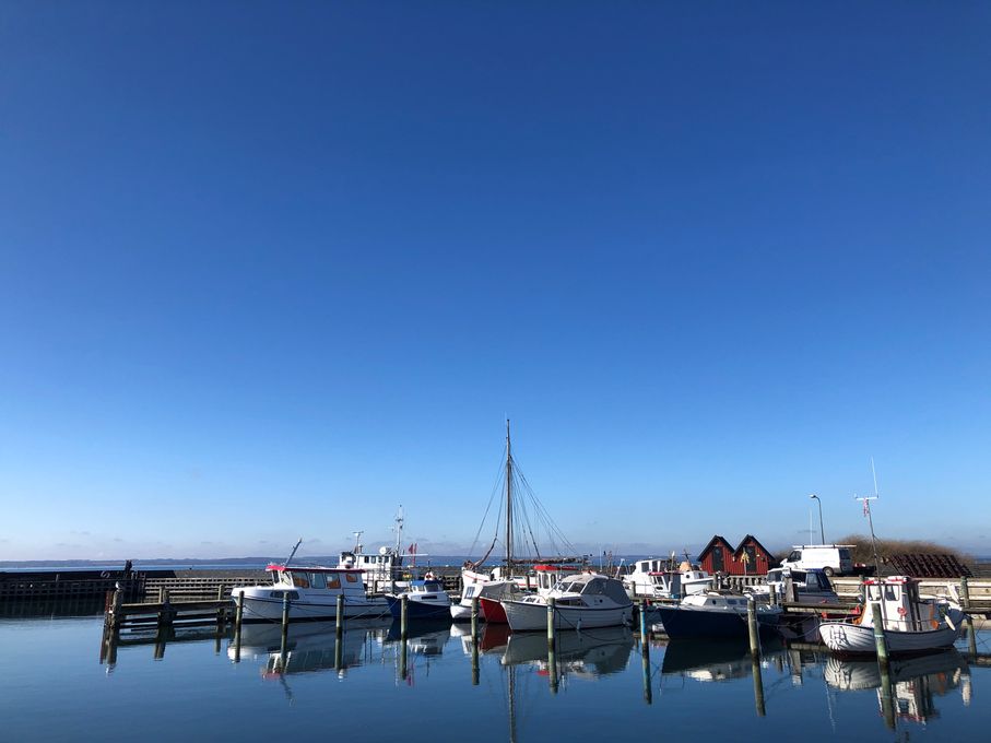 Lohals Havn
