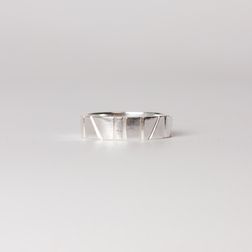BlackedOut_zilverenring_LoreVanDuppen-2