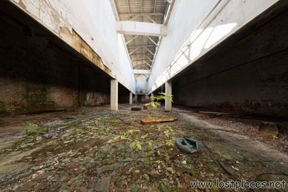DSC_0973 b