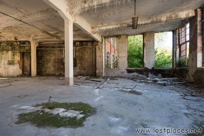 DSC_1035 b