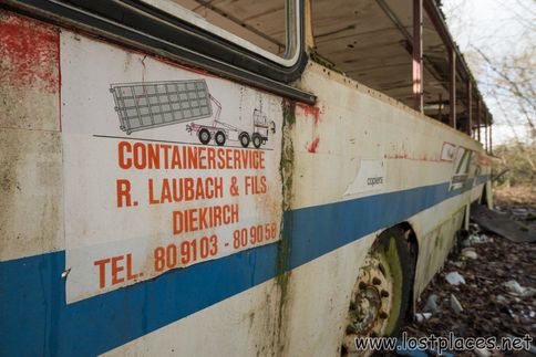 DSC_6065 b