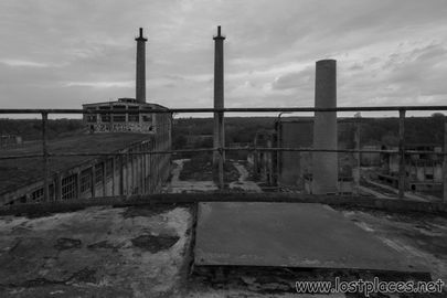 DSC_0506 b