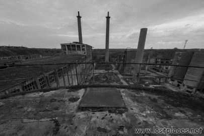 DSC_0512 b