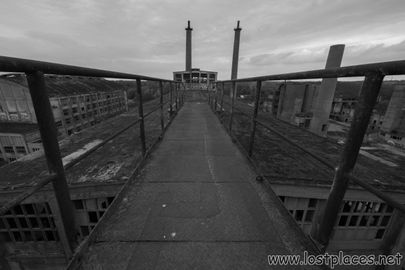 DSC_0517 b