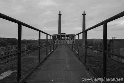 DSC_0519 b