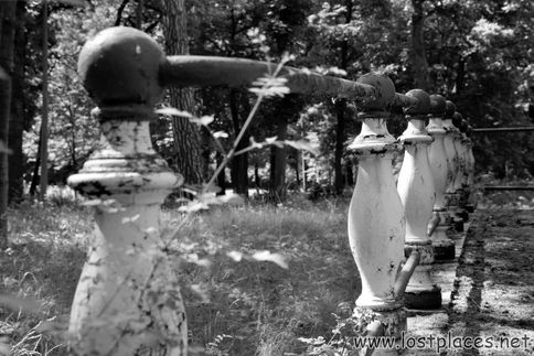 DSC_0217 b