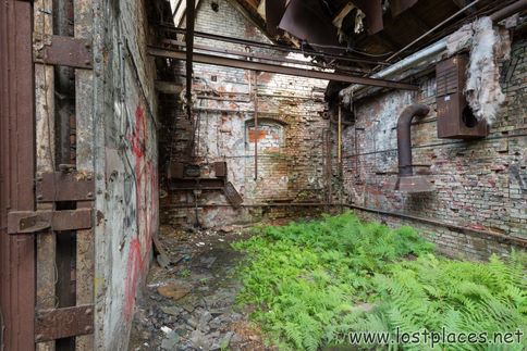 DSC_1181 b