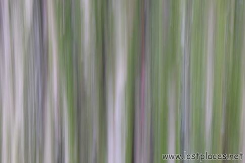 DSCF2997