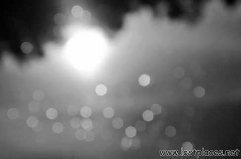 DSC_6817 (3)