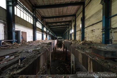 DSC_1226 b