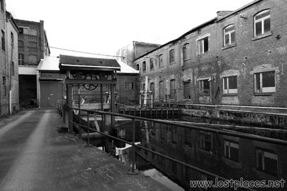 DSC_1411 b