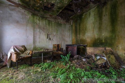 DSC_7690 b