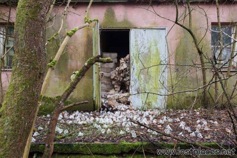 DSC_5698 b