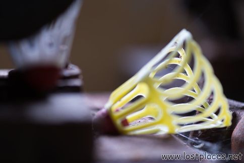 DSC_6035 b