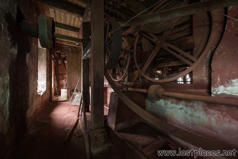 DSC_3642 b