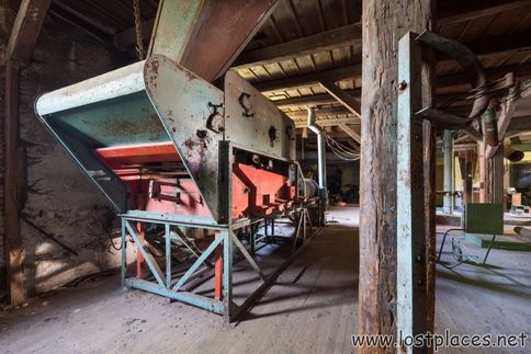 DSC_8020 b