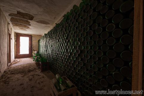 DSC_9756 b