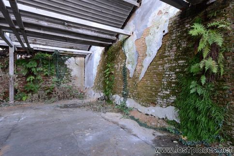 DSC_8042